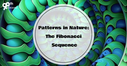 Nature's Mathematical Symphony: The Fascinating Fibonacci Sequence