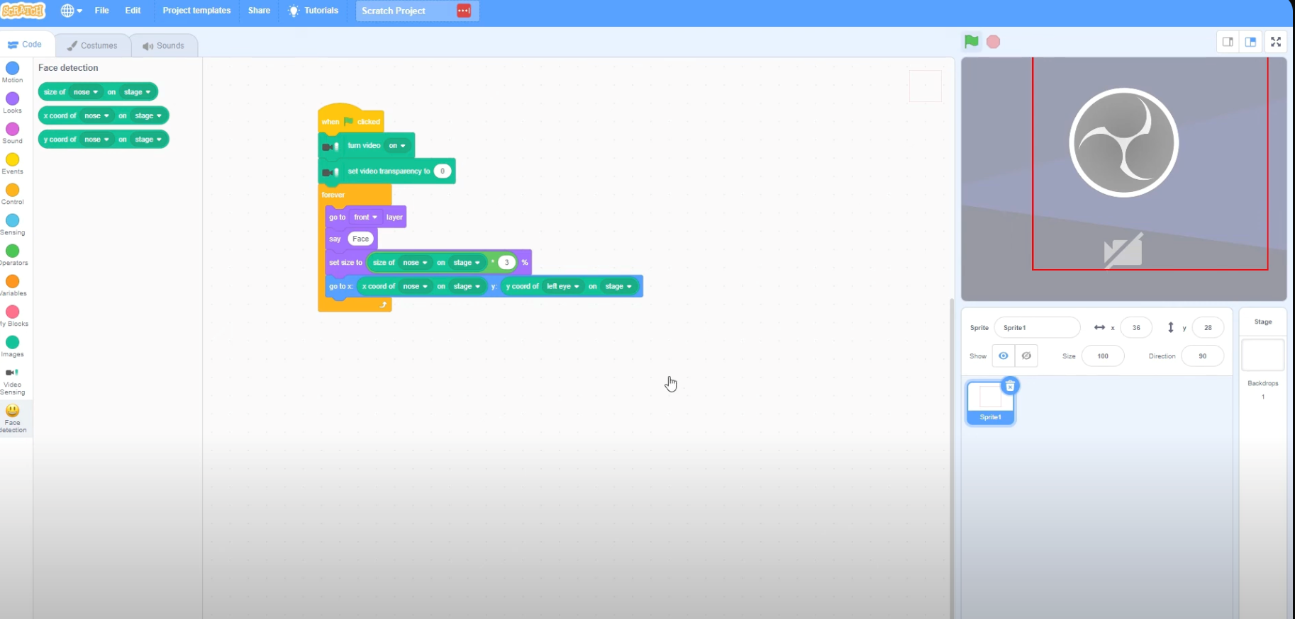 scratch coding